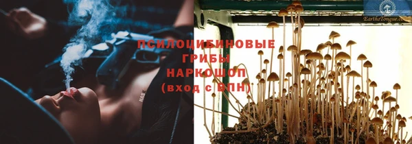 гашик Белоозёрский