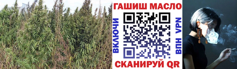 Дистиллят ТГК гашишное масло  Железноводск 