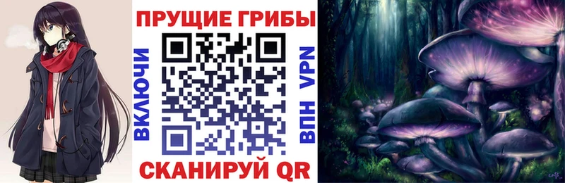 Псилоцибиновые грибы Psilocybine cubensis  что такое наркотик  Железноводск 